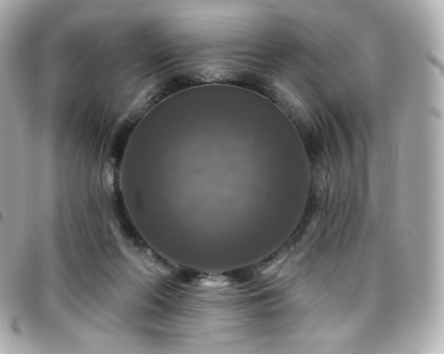 X0000096470214200801241436