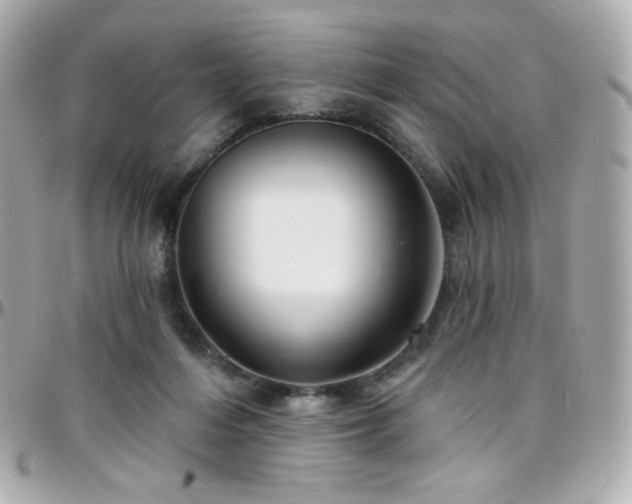 X0000096470216200801241436