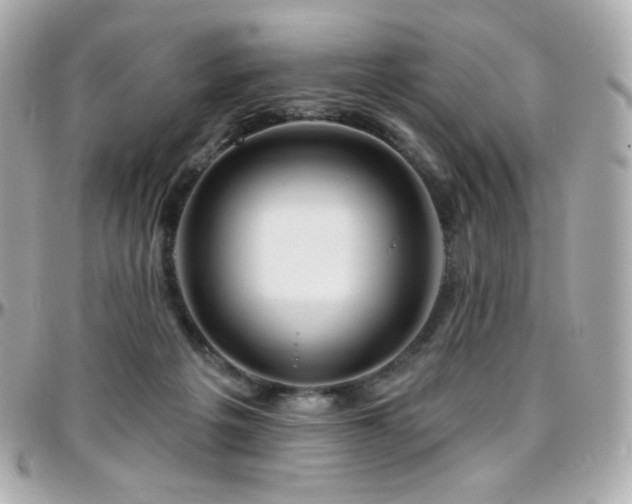 X0000096470217200801241436