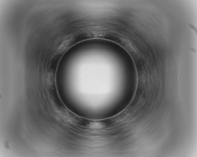 X0000096470218200801241436