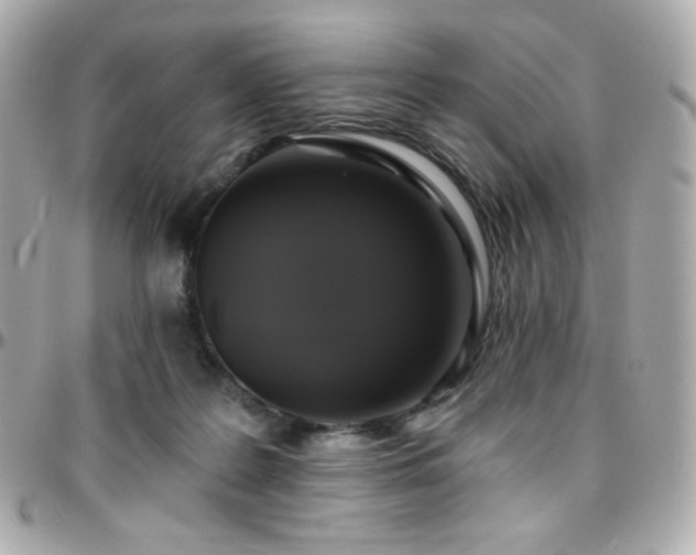 X0000096470219200801241436