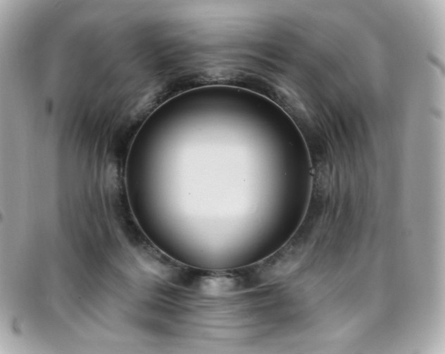 X0000096470220200801241436