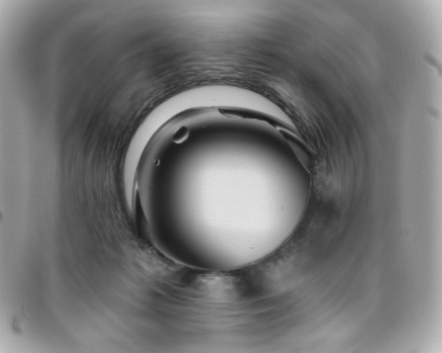 X0000096470221200801241436