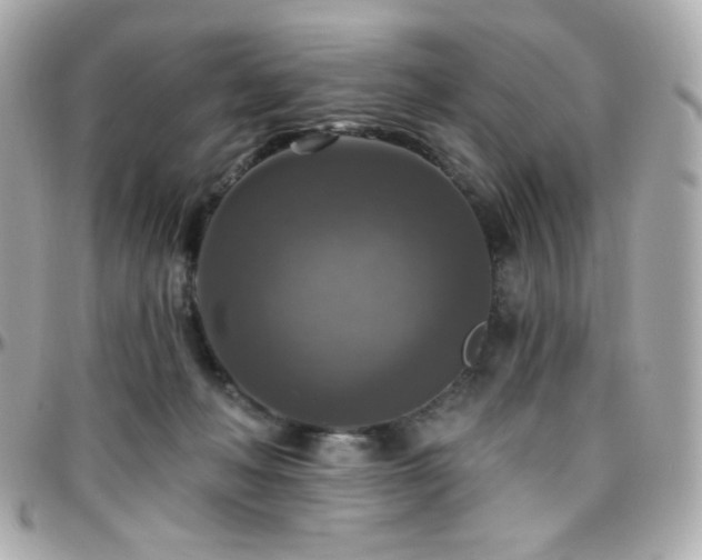 X0000096470222200801241436