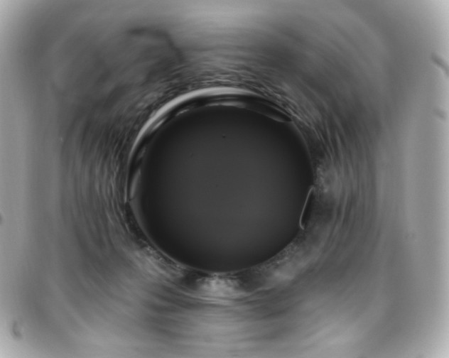 X0000096470223200801241436