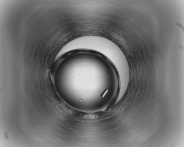 X0000096470225200801241436