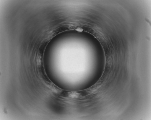 X0000096470226200801241436