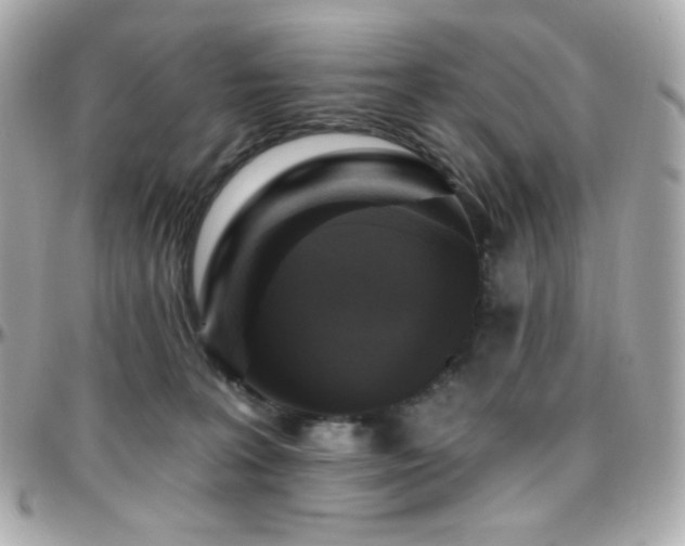 X0000096470227200801241436