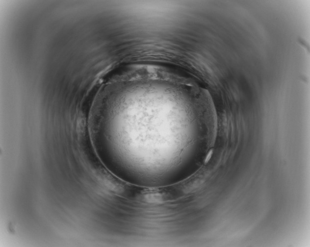 X0000096470228200801241436