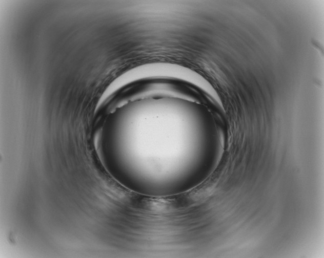 X0000096470229200801241436