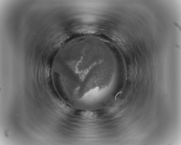 X0000096470230200801241436