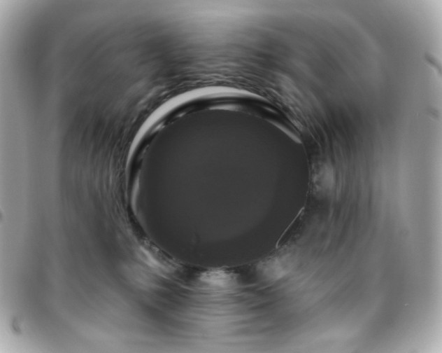 X0000096470231200801241436