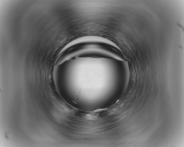 X0000096470232200801241436