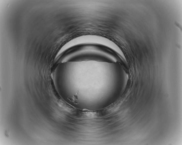 X0000096470233200801241436