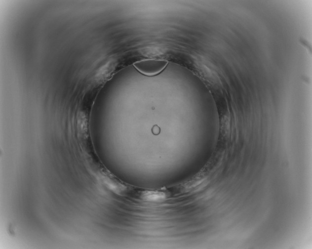 X0000096470234200801241436