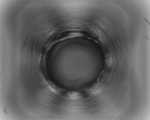 X0000096470235200801241436