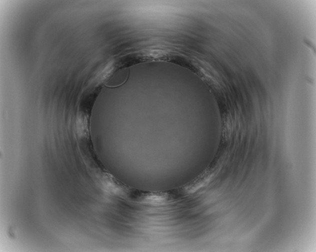 X0000096470236200801241436