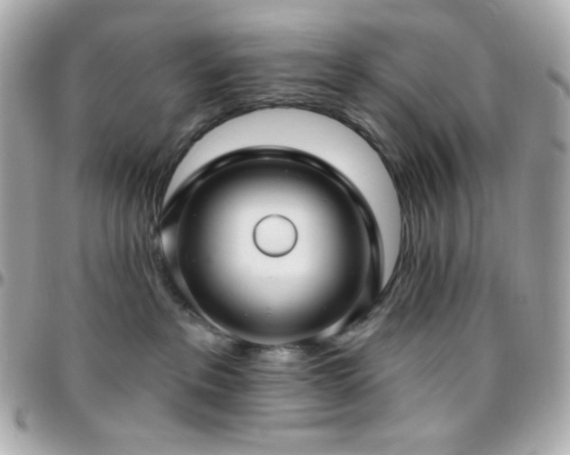 X0000096470237200801241435