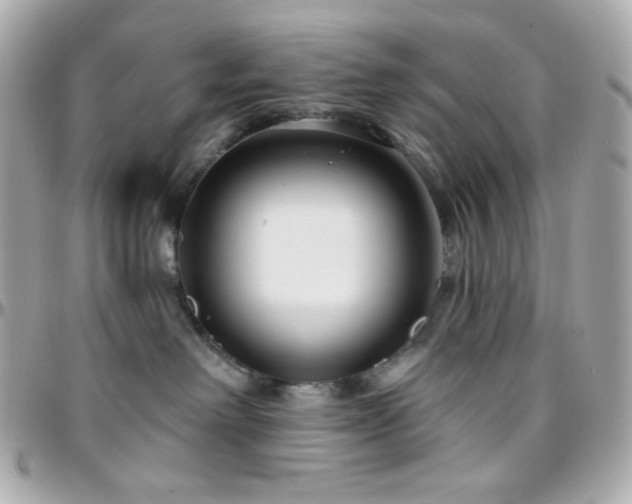 X0000096470238200801241435