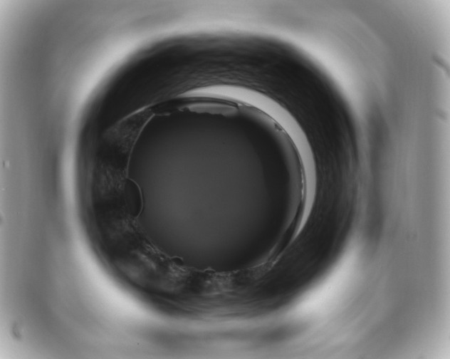 X0000096470239200801241435