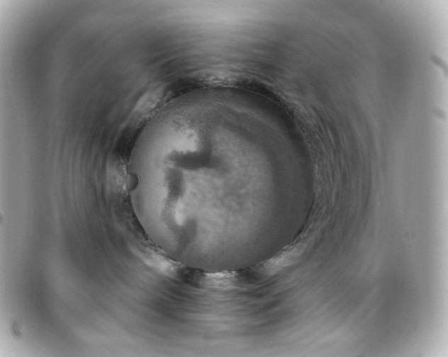 X0000096470240200801241435