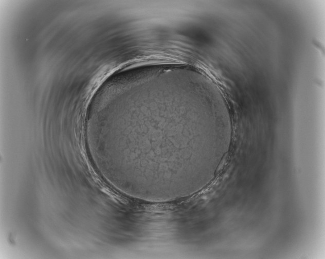 X0000096470241200801241435