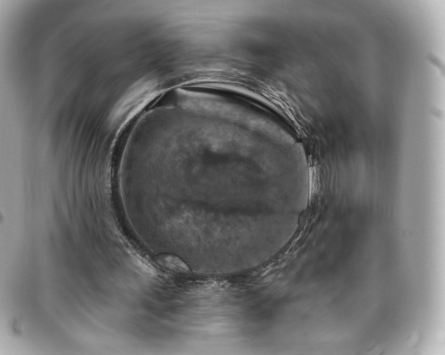 X0000096470243200801241435