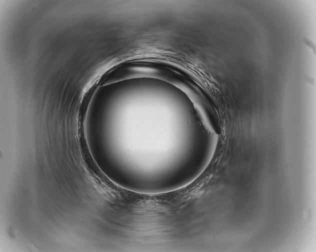 X0000096470244200801241435