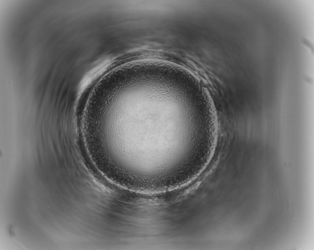 X0000096470245200801241435