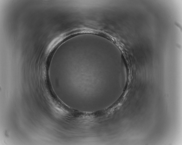 X0000096470247200801241435