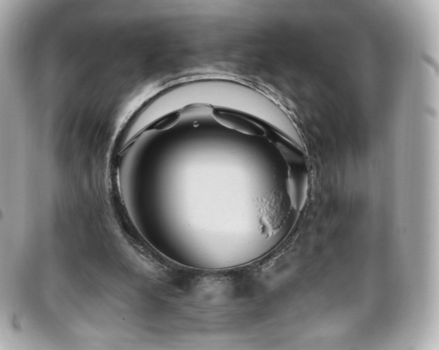 X0000096470248200801241435