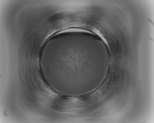 X0000096470249200801241435