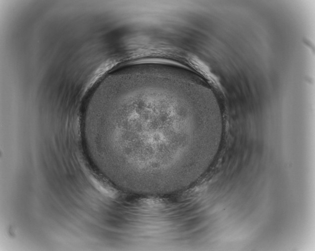 X0000096470250200801241435