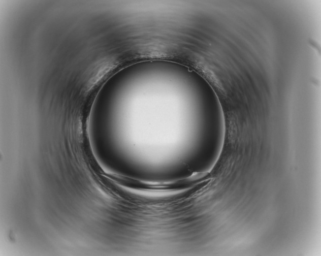 X0000096470251200801241435