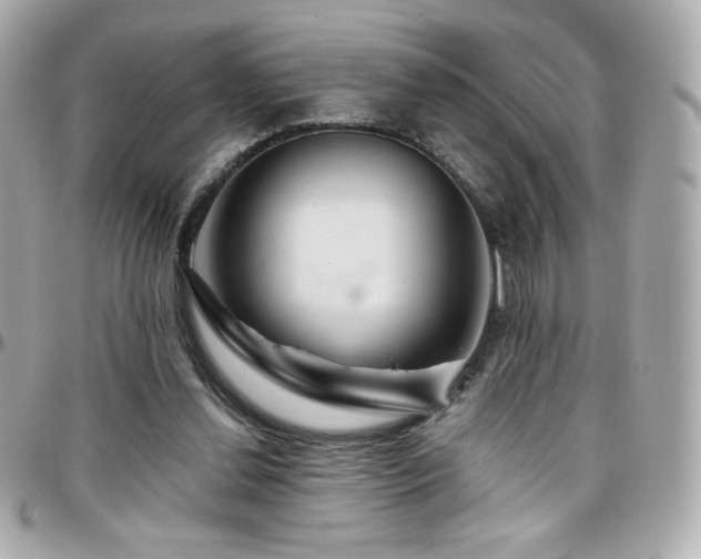 X0000096470252200801241435