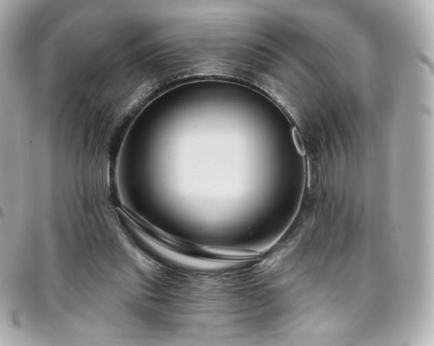 X0000096470253200801241435