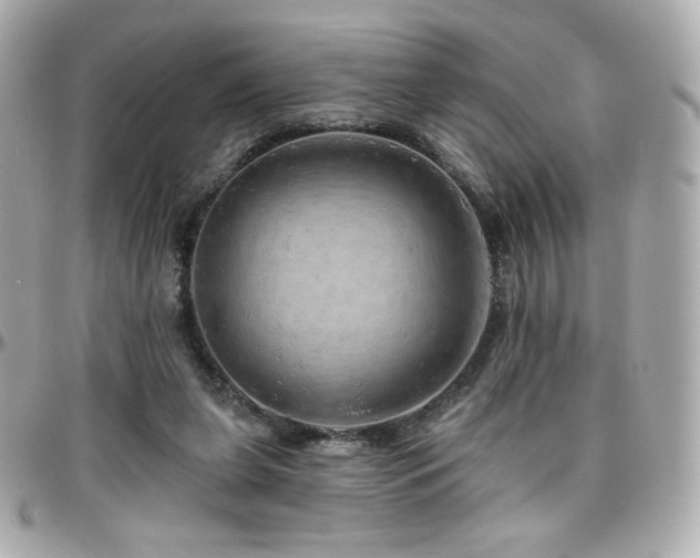 X0000096470255200801241435