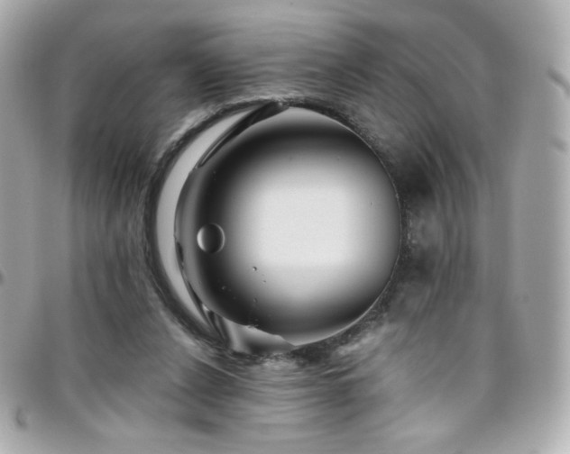 X0000096470256200801241435