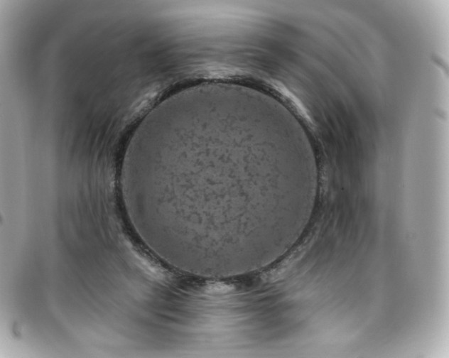 X0000096470257200801241435