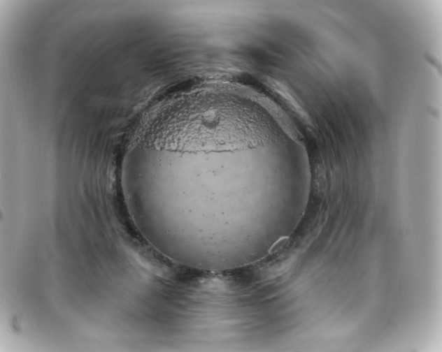 X0000096470259200801241435