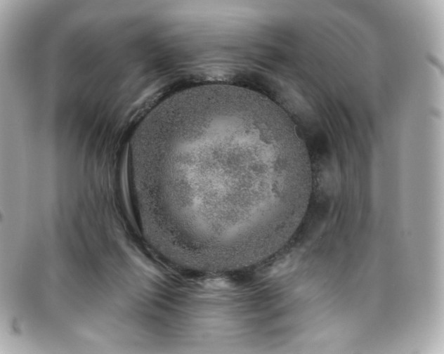 X0000096470262200801241435