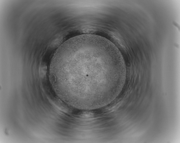 X0000096470263200801241435