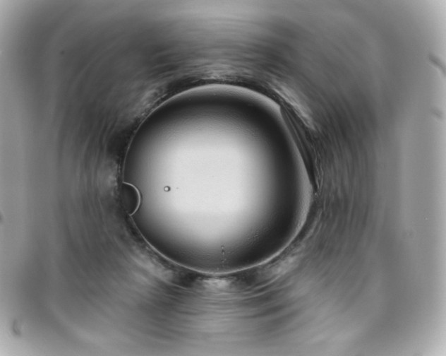 X0000096470265200801241435