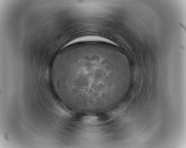 X0000096470266200801241435