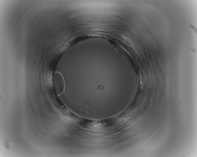 X0000096470267200801241435