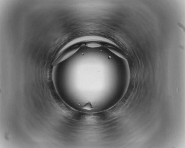 X0000096470268200801241435