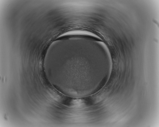 X0000096470269200801241435