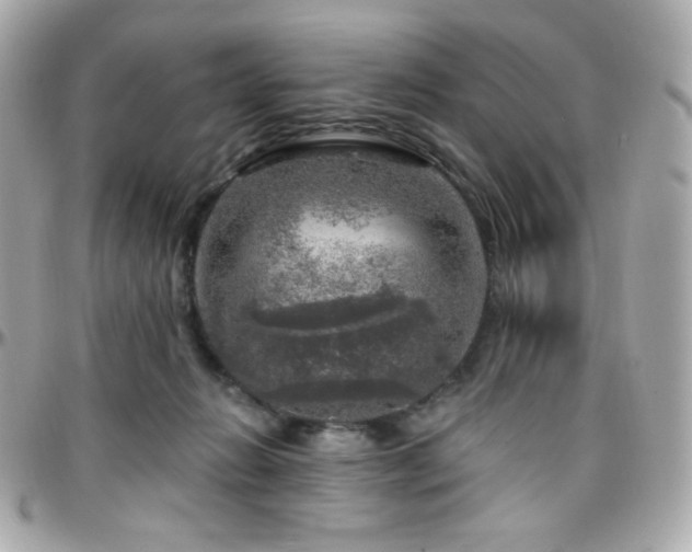 X0000096470270200801241435