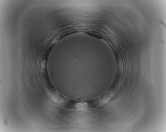 X0000096470271200801241435