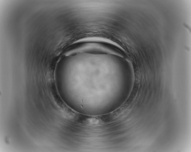 X0000096470272200801241435